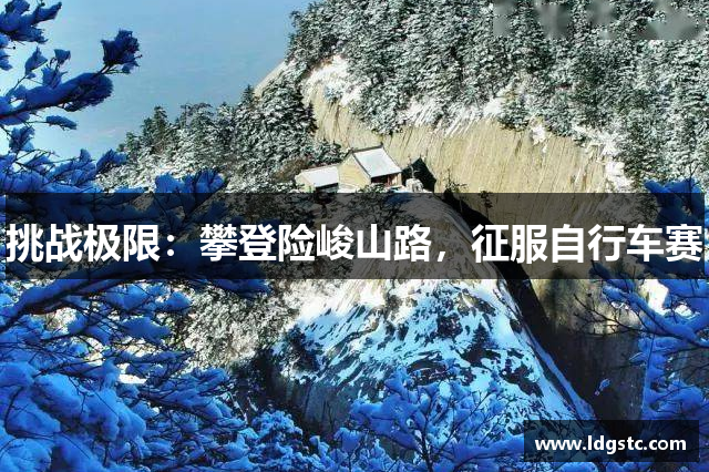 挑战极限：攀登险峻山路，征服自行车赛